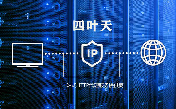 【曲靖代理IP】使用代理IP遇到的常见问题汇总